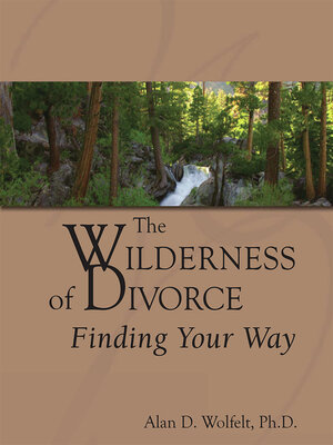 cover image of The Wilderness of Divorce